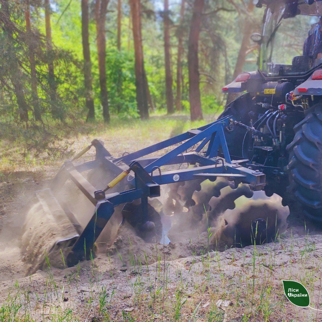 Мінералізовані смуги