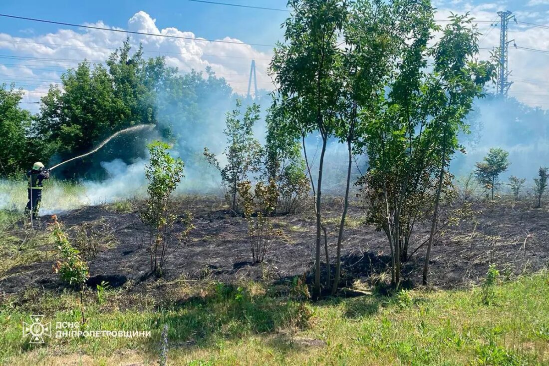 Горить суха рослинність