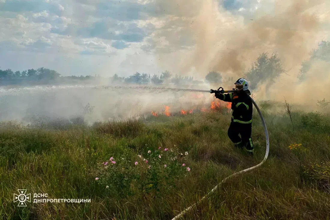 Рятувальники 60 разів залучались до гасіння пожеж/ фото ДСНС