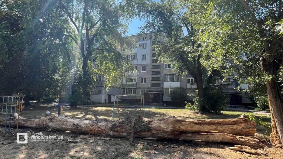 Сухе дерево