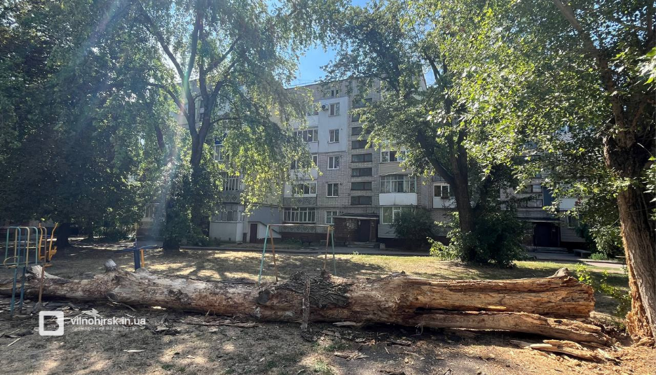 Впало сухе дерево у Вільногірську