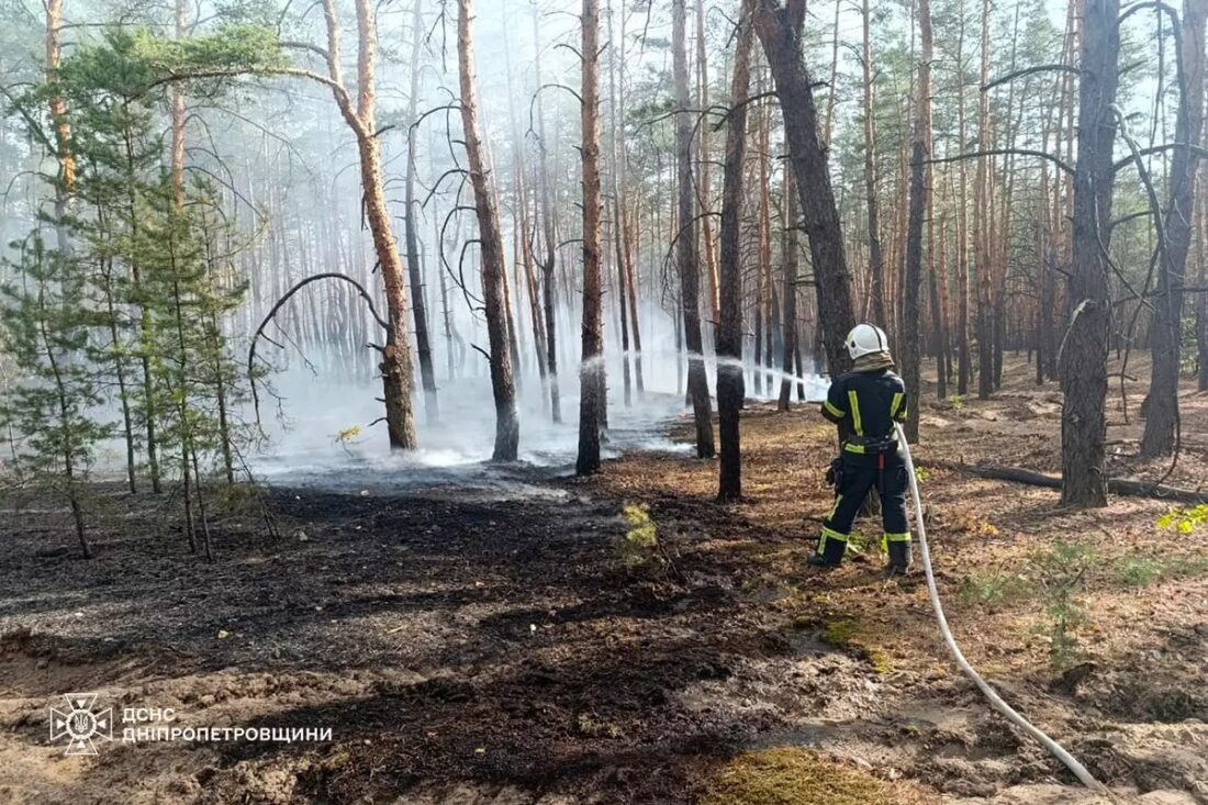 Вогонь в екосистемах