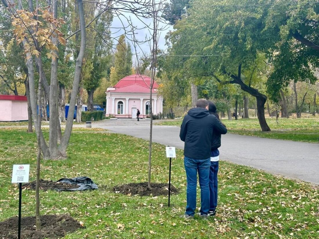 31 клен на честь загиблих воїнів