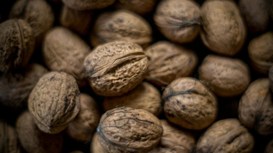 Продукти, які підтримують здоров’я мозку: підбірка фото 1