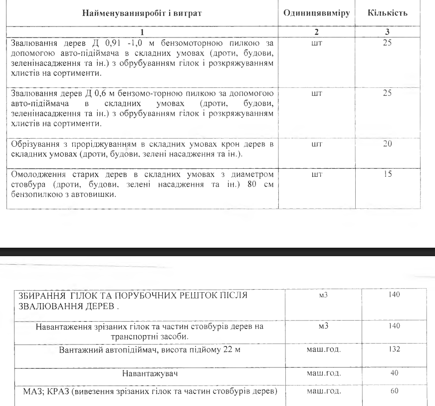 На обрізку дерев у Вільногірську оголосили тендер на 521 тисячу гривень, хоча в бюджеті закладено 750 тисяч фото 9