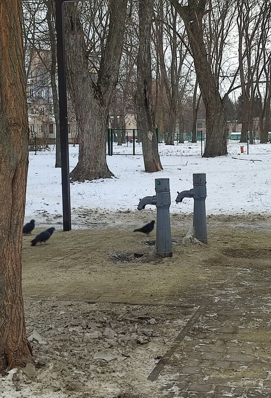 Посипають, але не всюди: яка ситуація з дорогами та тротуарами у Вільногірську фото 5