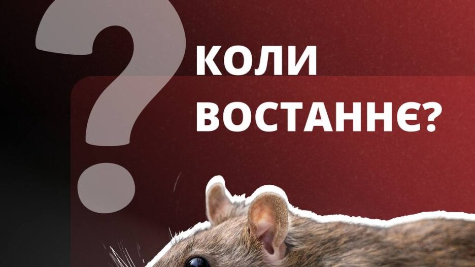 Тендер на санітарну обробку