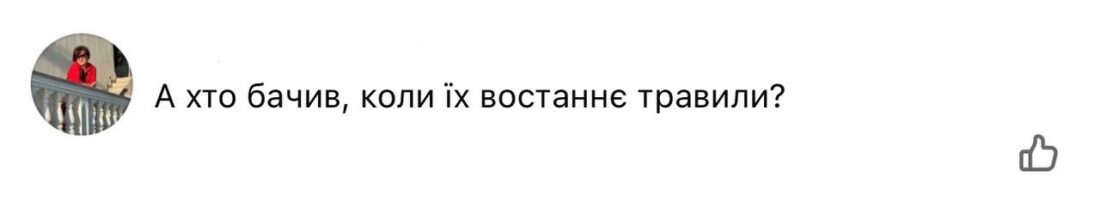 У Вільногірську знову оголосили тендер на санітарну обробку підвалів фото 4
