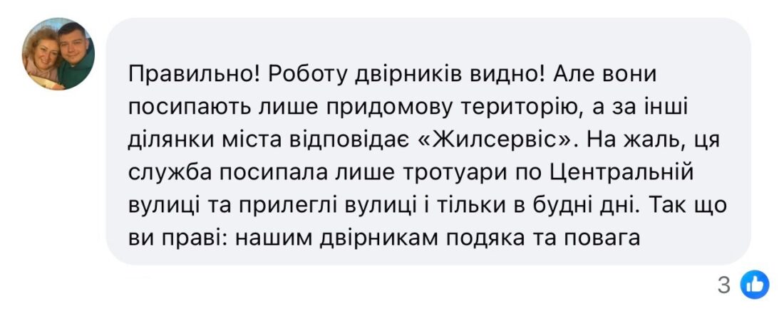 Посипання доріг у Вільногірську: хто відповідальний фото 8