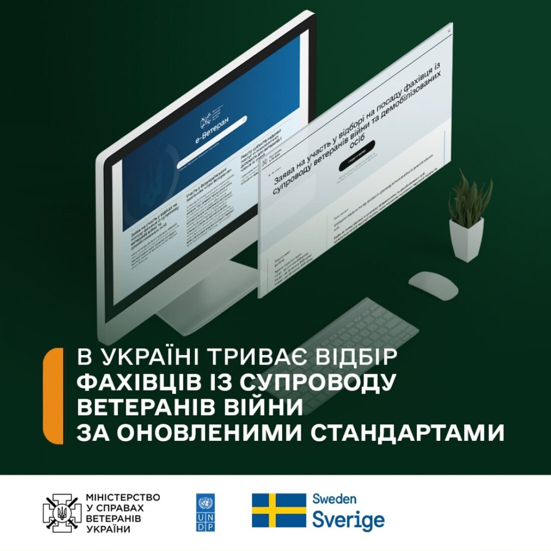 У Вільногірську шукають фахівців із супроводу ветеранів: як долучитися та які умови фото 2