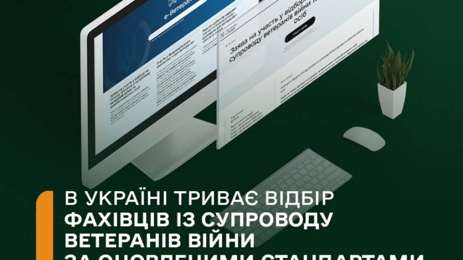 У Вільногірську шукають фахівців із супроводу ветеранів: як долучитися та які умови фото 1