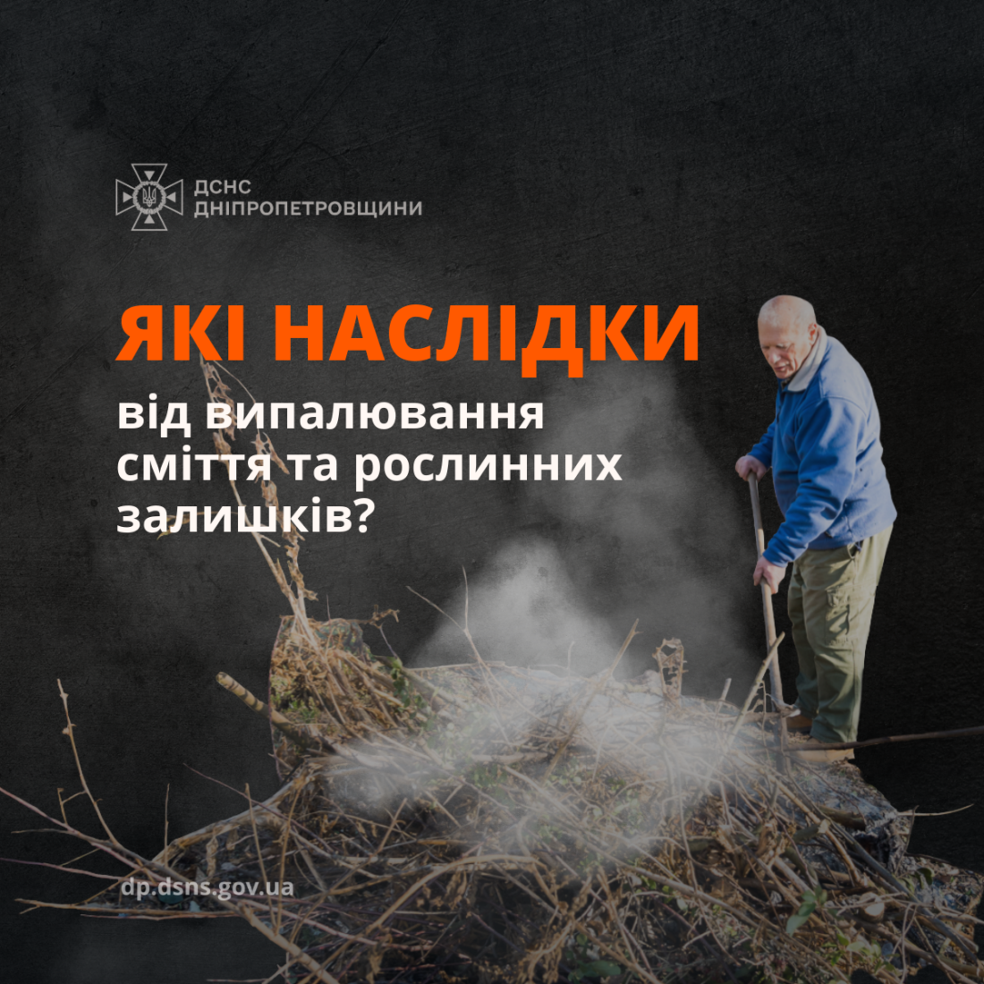 Штрафи до 21 тисячі та кримінальна відповідальність: чому не варто палити сухостій фото 5