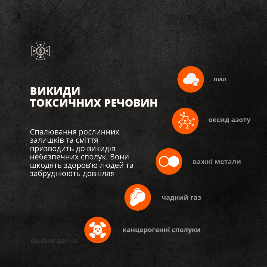 Штрафи до 21 тисячі та кримінальна відповідальність: чому не варто палити сухостій фото 6