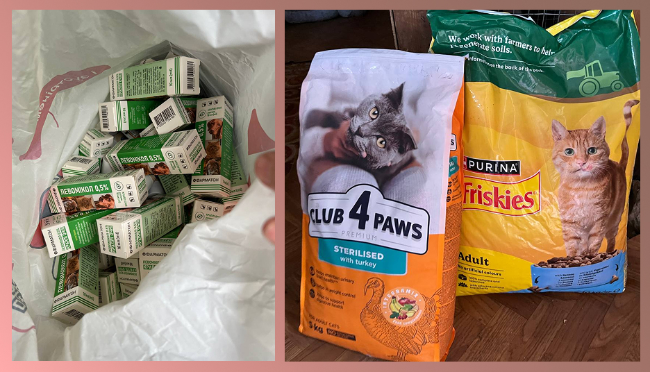 Чоловік проїхав пів країни, щоб забрати котів із вільногірського притулку фото 4