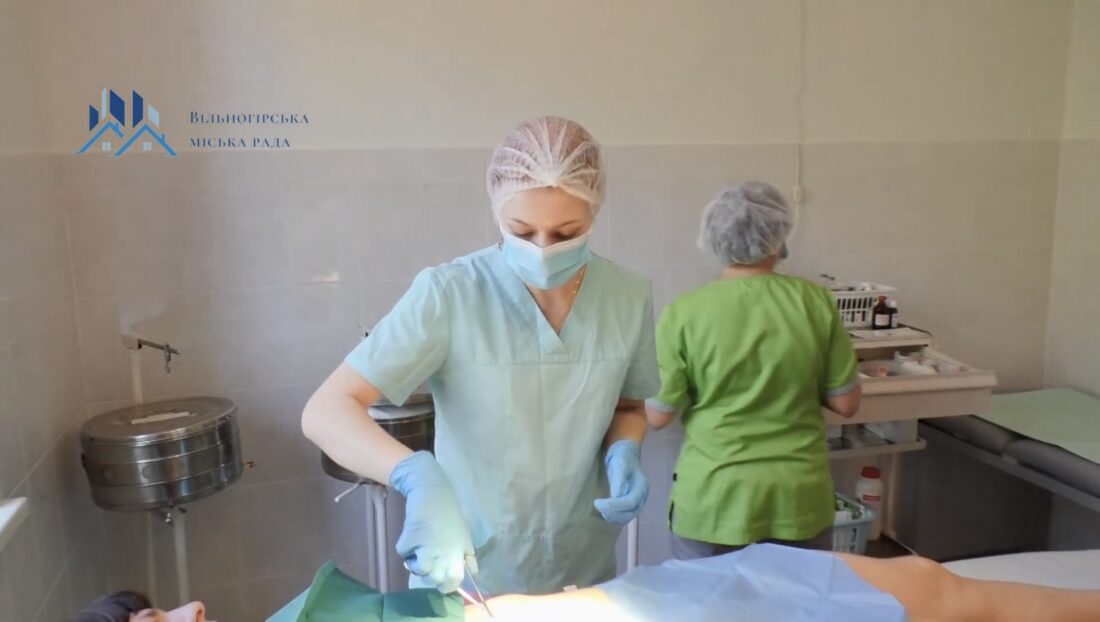 У Вільногірській центральній міській лікарні представили нову директорку фото 3