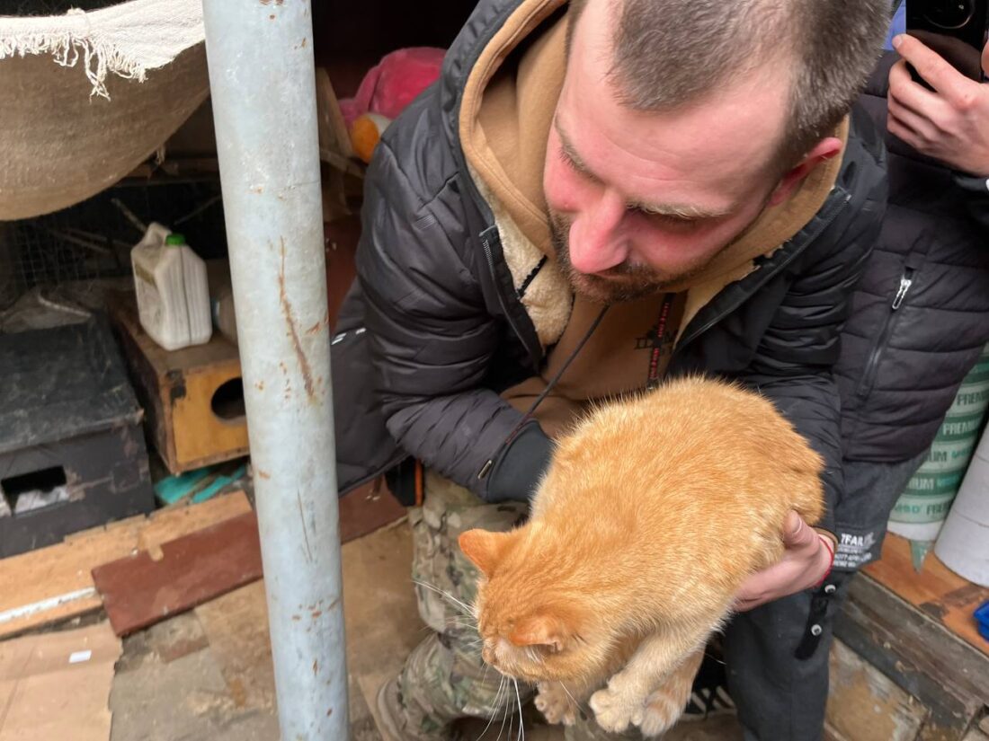 Чоловік проїхав пів країни, щоб забрати котів із вільногірського притулку фото 6