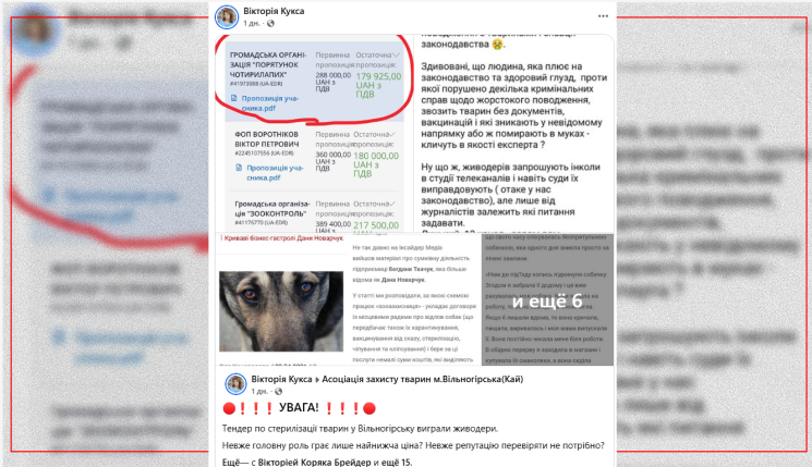 Зооволонтери Вільногірська б’ють на сполох: до стерилізації тварин можуть залучити організацію з неоднозначною репутацією фото 5