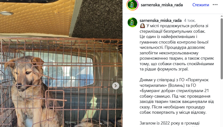 Зооволонтери Вільногірська б’ють на сполох: до стерилізації тварин можуть залучити організацію з неоднозначною репутацією фото 6