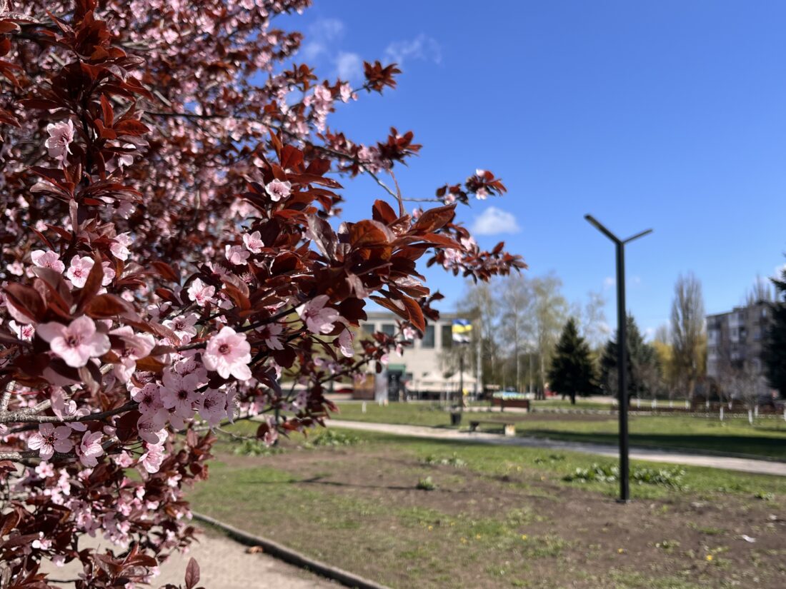 Якою буде погода у Вільногірську цього тижня: 27 квітня – 3 травня  фото 2