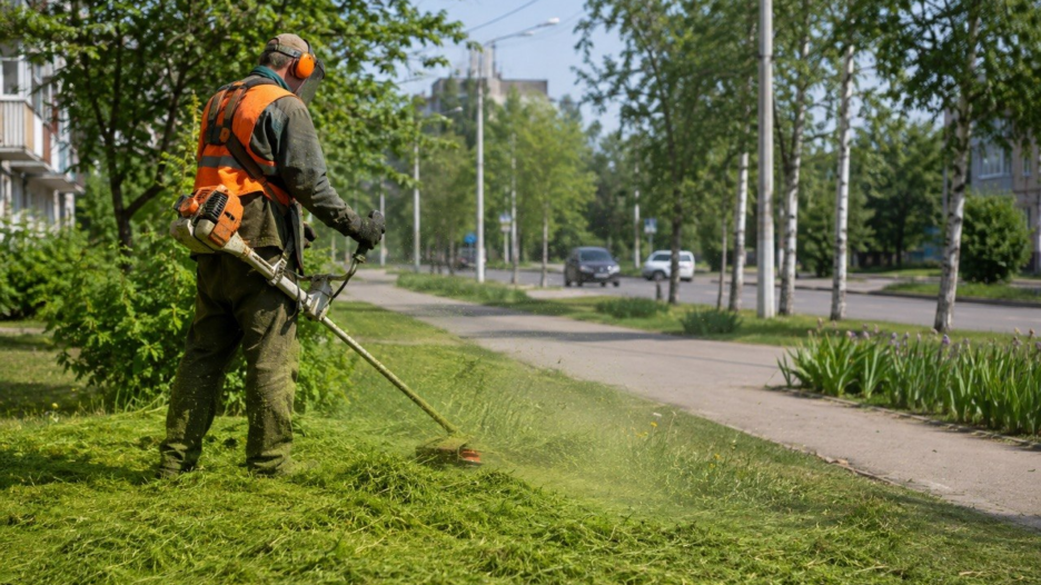 Майже півтора мільйона на траву: у Вільногірську визначили підрядника для догляду за травою фото 1