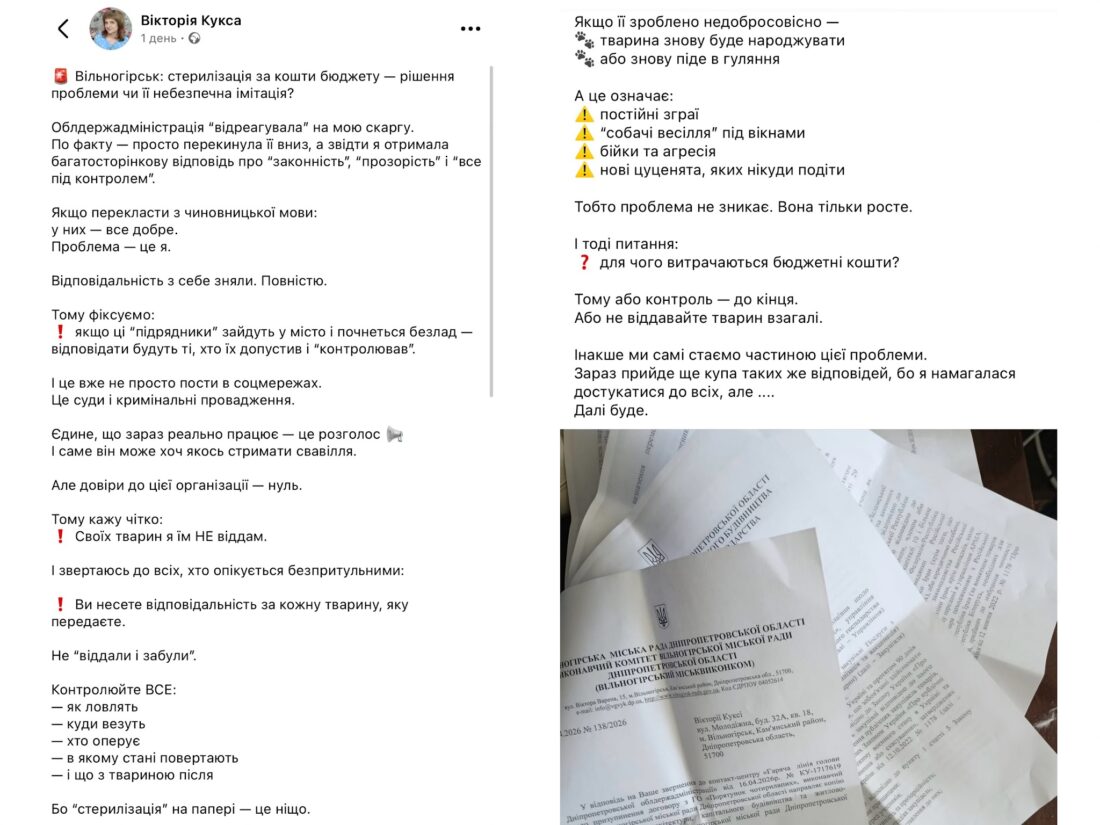 Стерилізація “для звіту”: зооволонтерка з Вільногірська закликає контролювати витрати та якість роботи фото 3