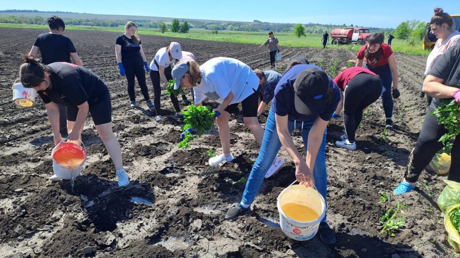 У Лихівській громаді висажують “Сади Перемоги” фото 1