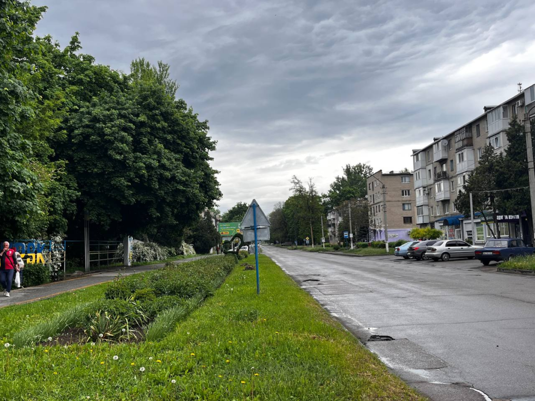 Від Тризуба до клумб: як у Вільногірську депутатка Олена Новікова власноруч змінює міський простір фото 11