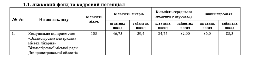Лікарня Вільногірська готується до перезавантаження фото 11