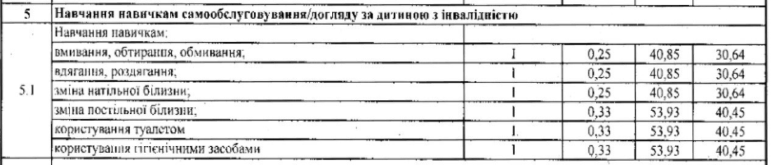 Від доставки ліків до соціального супроводу: у Вільногірську затвердили нові тарифи на соціальні послуги фото 5