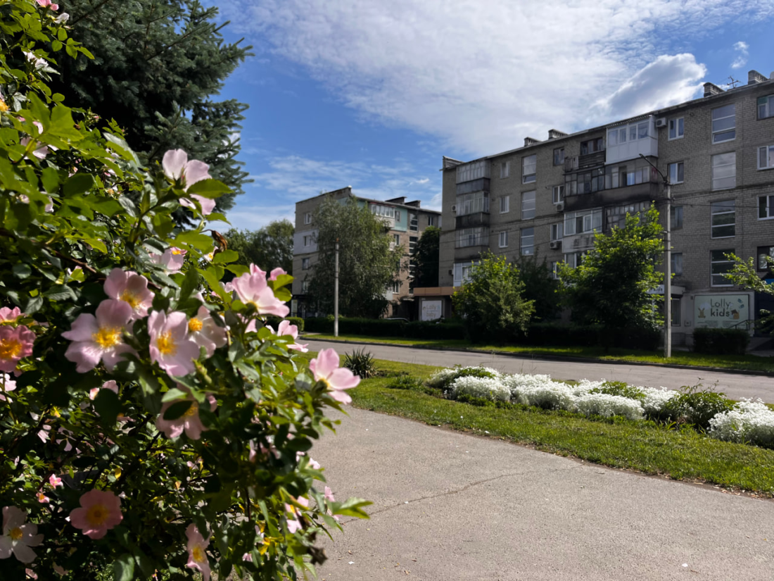 Погода у Вільногірську з 8 по 14 червня фото 4