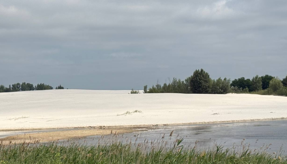 Вільногірські Мальдіви позеленіли: улюблений кар’єр вкрили водорості (ВІДЕО) фото 3