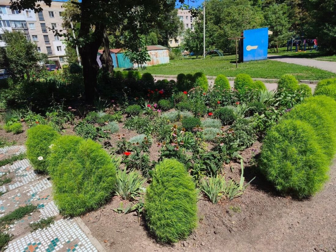 У Вільногірську нагородили переможців конкурсу “Краща клумба – 2026” фото 9