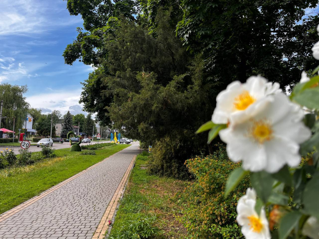Сонце, тепло та без опадів: погода у Вільногірську з 10 по 16 серпня фото 2