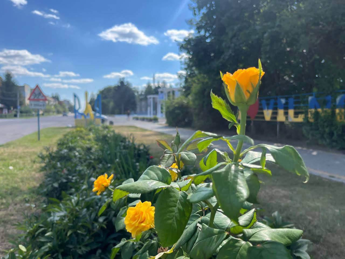 Погода у Вільногірську на початок вересня: прогноз з 31 серпня по 6 вересня фото 8