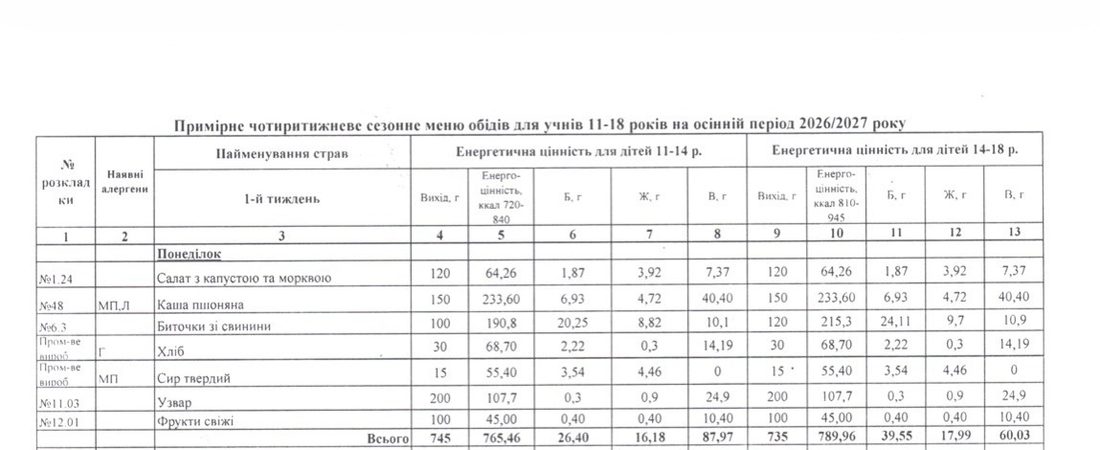 Шніцель, каші та салати: чим годують школярів у ліцеях Вільногірська фото 3
