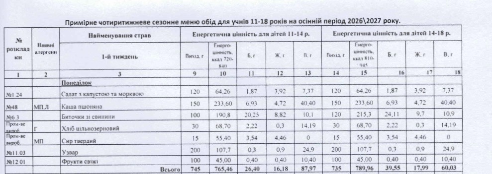 Шніцель, каші та салати: чим годують школярів у ліцеях Вільногірська фото 5