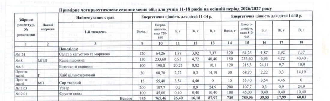 Шніцель, каші та салати: чим годують школярів у ліцеях Вільногірська фото 7