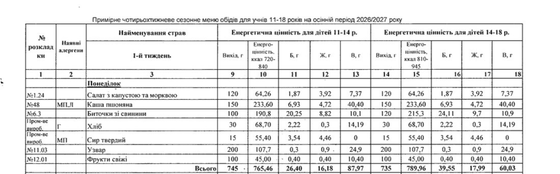 Шніцель, каші та салати: чим годують школярів у ліцеях Вільногірська фото 9