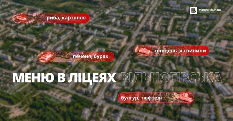 Шніцель, каші та салати: чим годують школярів у ліцеях Вільногірська  фото 1